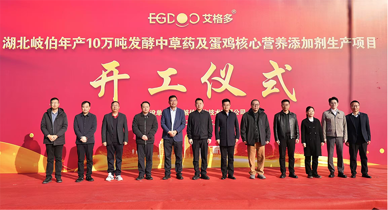 全國布局、賦能南方蛋雞產(chǎn)業(yè)高質(zhì)量發(fā)展——艾格多集團(tuán)湖北荊州基地項目正式開工